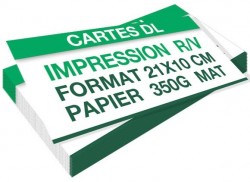 Carte 100 × 210 mm 350 g mat 2 faces