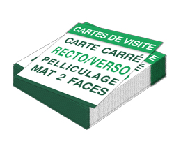 Carte de visite 2 faces 55 × 55 mm 350 g mat + pelliculage mat 2 faces