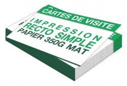 Carte de visite 1 face 85 × 55 mm 350 g mat