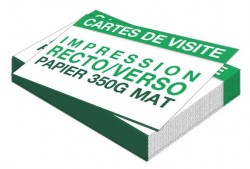 Carte de visite 2 faces 85 × 55 mm 350 g mat